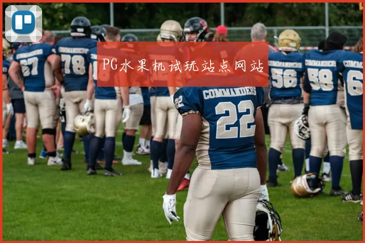 PG水果机试玩站点网站