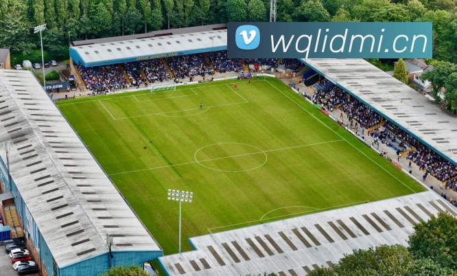 pgsoft平台生态图